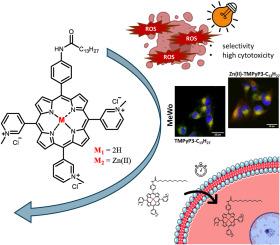 Impact of the hydrophilic-lipophilic balance of free-base and Zn(II) tricationic pyridiniumporphyrins and irradiation wavelength in PDT against the melanoma cell lines