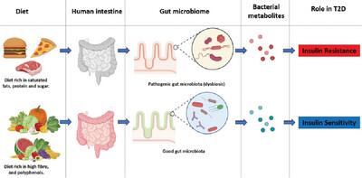 Synergistic Interplay of Diet, Gut Microbiota, and Insulin Resistance: Unraveling the Molecular Nexus