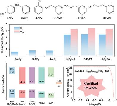 Stable Surface Contact with Tailored Alkylamine Pyridine Derivatives for High‐Performance Inverted Perovskite Solar Cells