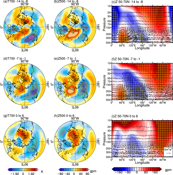 Distinct tropospheric anomalies during sudden stratospheric warming events accompanied by strong and weak Ural Ridge