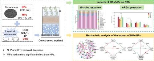 Effect of microplastics concentration and size on pollutants removal and antibiotic resistance genes (ARGs) generation in constructed wetlands: a metagenomics insight