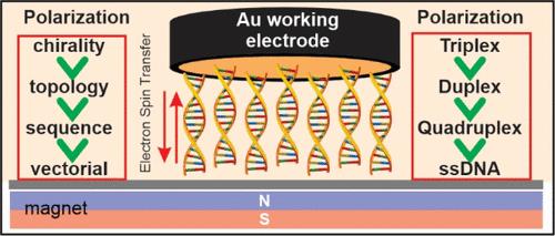 Electroanalytical Quantification of DNA Chirality.