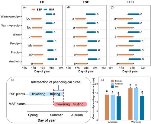 Indirect effects of warming via phenology on reproductive success of alpine plants