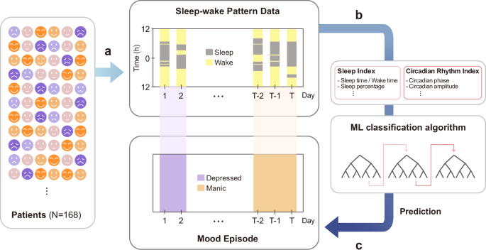 Accurately predicting mood episodes in mood disorder patients using wearable sleep and circadian rhythm features