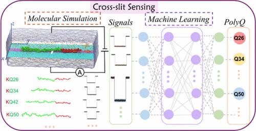 Nanopore Identification of Polyglutamine Length via Cross-Slit Sensing.