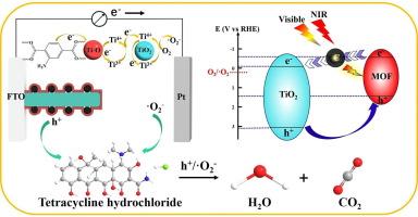 Ultrathin metal–organic framework synergizes with carbon quantum dots improving photoelectrochemical water oxidation and tetracycline hydrochloride degradation performance