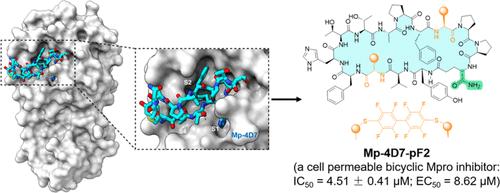 <i>De Novo</i> Discovery of a Noncovalent Cell-Penetrating Bicyclic Peptide Inhibitor Targeting SARS-CoV-2 Main Protease.