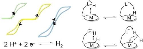 Proton Relays in Molecular Catalysis for Hydrogen Evolution and Oxidation: Lessons From the Mimicry of Hydrogenases and Electrochemical Kinetic Analyses