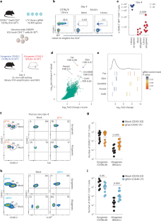 Ablation of FAS confers allogeneic CD3– CAR T cells with resistance to rejection by T cells and natural killer cells