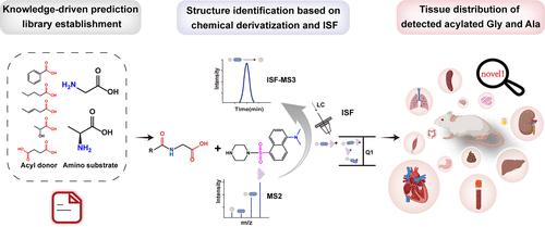 Discovery of Acylated Glycine and Alanine by Integrating Chemical Derivatization-Based LC-MS/MS and Knowledge-Driven Prediction.