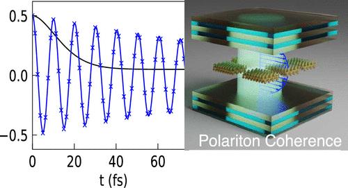 Mechanism of Molecular Polariton Decoherence in the Collective Light-Matter Couplings Regime.