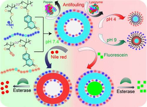 Coassembly of Charged Copolymer Amphiphiles Featuring pH-Regulated Antifouling Properties.