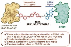 Discovery of a Highly Potent, N-terminal Domain-targeting degrader of AR-FL/AR-V7 for the treatment of Prostate Cancer