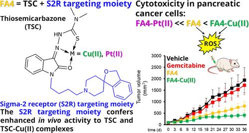 First-In-Class Thiosemicarbazone Metal Complexes Targeting the Sigma-2 Receptor (S2R) as an Innovative Strategy against Pancreatic Cancer.