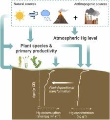 Perspectives on using peat records to reconstruct past atmospheric Hg levels