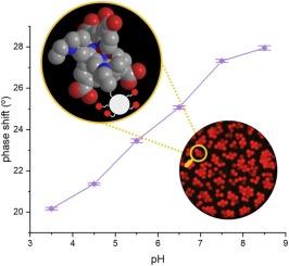 Wide range luminescence lifetime-based pH sensing with covalently immobilized multi-protonatable Ru(II) complexes