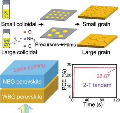 Efficient Blade-Coated Wide-Bandgap and Tandem Perovskite Solar Cells via a Three-Step Restraining Strategy.