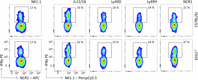 Author Correction: NK cell receptor NKG2D sets activation threshold for the NCR1 receptor early in NK cell development