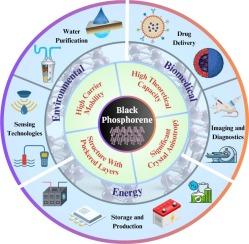 Black phosphorene: A versatile allotrope revolutionizing environmental, energy, and biomedical applications