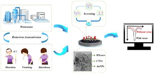 Development of a Dual-Epitope Nanobody-Based Immunosensor with MXenes@CNTs@AuNPs for Ultrasensitive Detection of Rotavirus.