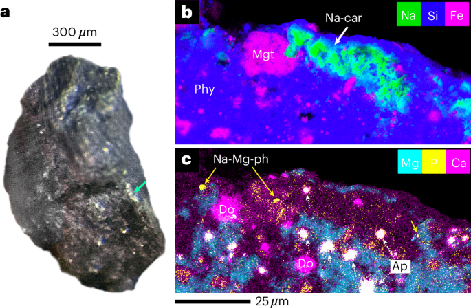 Sodium carbonates on Ryugu as evidence of highly saline water in the outer Solar System