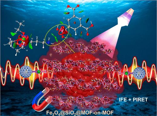 Magnetism-Functionalized Lanthanide MOF-on-MOF with Plasmonic Differential Signal Amplification for Ultrasensitive Fluorescence Immunoassays.