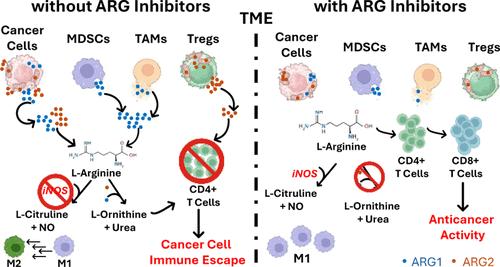 Opportunities and Challenges of Arginase Inhibitors in Cancer: A Medicinal Chemistry Perspective.