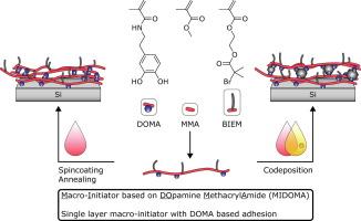 Codeposition strategies for improved layer stability in bio-inspired catechol-containing adhesives