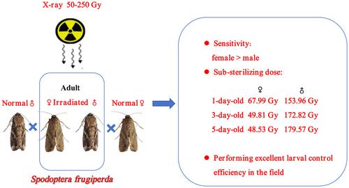 The evaluation on control potential using X-ray to irradiate adult Spodoptera frugiperda (Lepidoptera: Noctuidae).