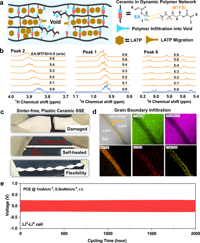 A self-healing plastic ceramic electrolyte by an aprotic dynamic polymer network for lithium metal batteries