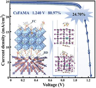 Dual-Surface Polydentate Anchoring Enabled Strain Regulation for Stable and Efficient Perovskite Solar Cells