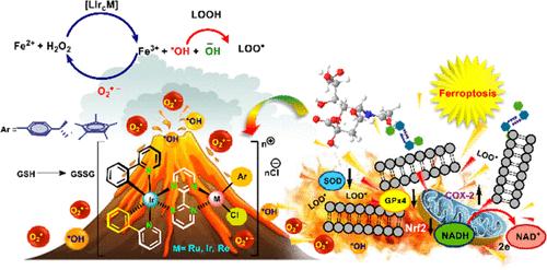 Sialic Acid-Targeted Ru(II)/Ir(III)/Re(I) Complexes for Ferroptosis Induction in Triple-Negative Breast Cancer.