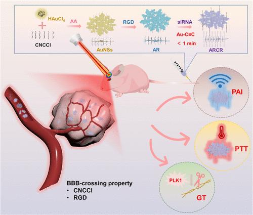 Facile Alkyne Assembly-Enabled Functional Au Nanosheets for Photoacoustic Imaging-Guided Photothermal/Gene Therapy of Orthotopic Glioblastoma