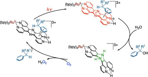 Photocatalytic Substrate Oxidation Catalyzed by a Ruthenium(II) Complex with a Phenazine Moiety as the Active Site Using Dioxygen as a Terminal Oxidant