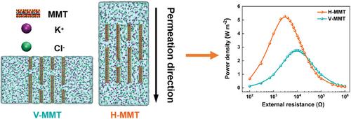 Exploring Ion Transmission Mechanisms in Clay-Based 2D Nanofluidics for Osmotic Energy Conversion