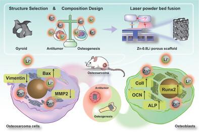 Additively Manufactured Biodegradable Zn-Based Porous Scaffolds to Suppress Osteosarcoma and Promote Osteogenesis