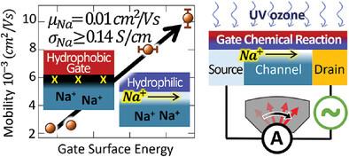 Local Chemical Enhancement and Gating of Organic Coordinated Ionic-Electronic Transport