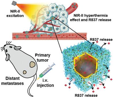 A Near-Infrared II Photo-Triggered Multifunctional Plasmonic Hyperthermia Immunomodulator for SERS-Guided Combination Cancer Immunotherapy