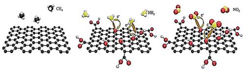 Mechanistic Insights into Gas Adsorption on 2D Materials