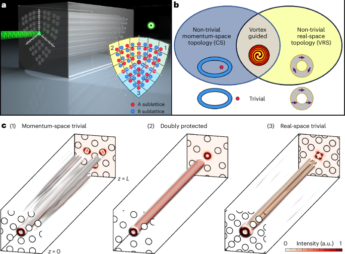 Topological orbital angular momentum extraction and twofold protection of vortex transport