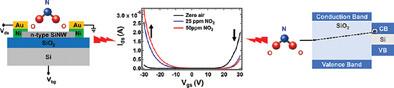 Pseudo Molecular Doping and Ambipolarity Tuning in Si Junctionless Nanowire Transistors Using Gaseous Nitrogen Dioxide