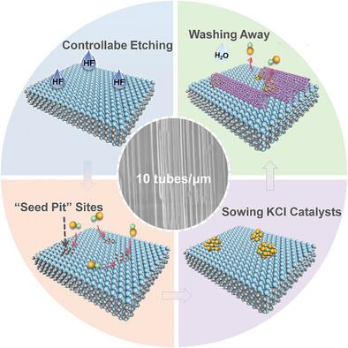 Sowing Clean-Release Salt Catalyst for the Synthesis of Contamination-Free Single-walled Carbon Nanotube Arrays