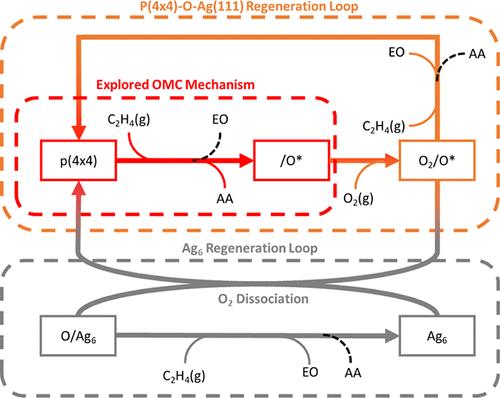 Expanding the Reaction Network of Ethylene Epoxidation on Partially Oxidized Silver Catalysts