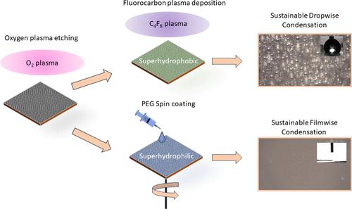 Durable Surfaces of Both Wettability Extremes with Stable Dew Harvesting Performance During Liquid–Vapor-Phase Transitions