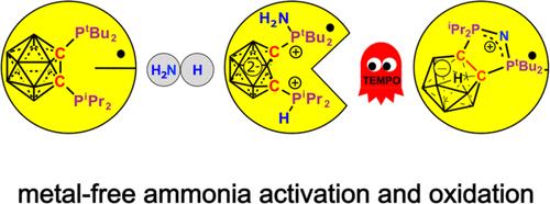 N–H Bond Activation of Ammonia by a Redox-Active Carboranyl Diphosphine