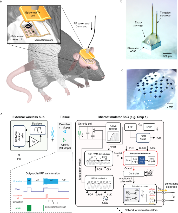 Patterned electrical brain stimulation by a wireless network of implantable microdevices