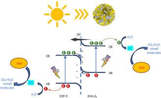 In situ irradiated XPS investigation on S-scheme ZnIn2S4@COF-5 photocatalyst for enhanced photocatalytic degradation of RhB