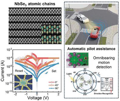 Orientation-Selective Memory Switching in Quasi-1D NbSe3 Neuromorphic Device for Omnibearing Motion Detection