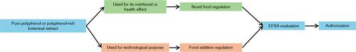 Polyphenols in Human Nutrition: European Regulations and Potential Classification as a Novel Food or Food Additive