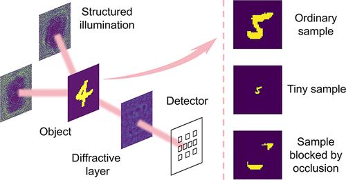 Advanced Image Classification Using a Differential Diffractive Network with “Learned” Structured Illumination